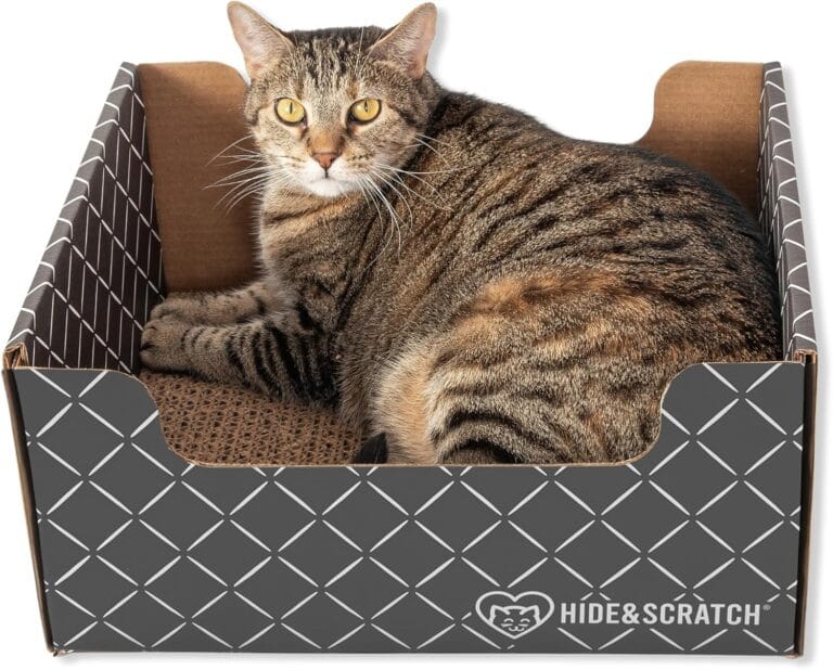 Los 10 mejores rascadores para gatos